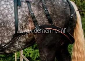 broekriem tweespan ideal equestrian