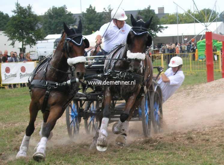 Zweispänner Brustgeschirr ELITE Zilco – Bild 3