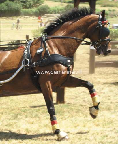 Empathy enkelspanborst voor Classictuig – Bild 3