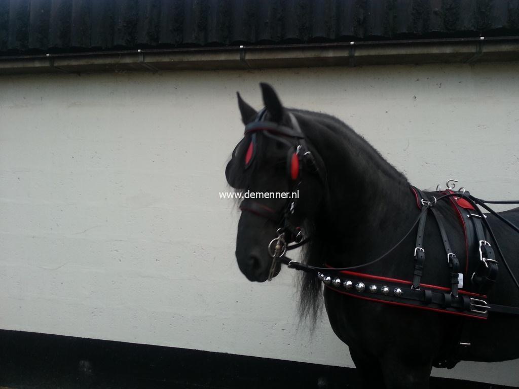 Bellengeschirr Schwarz/Rot – Bild 2