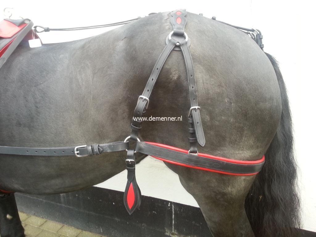 Bellengeschirr Schwarz/Rot – Bild 4