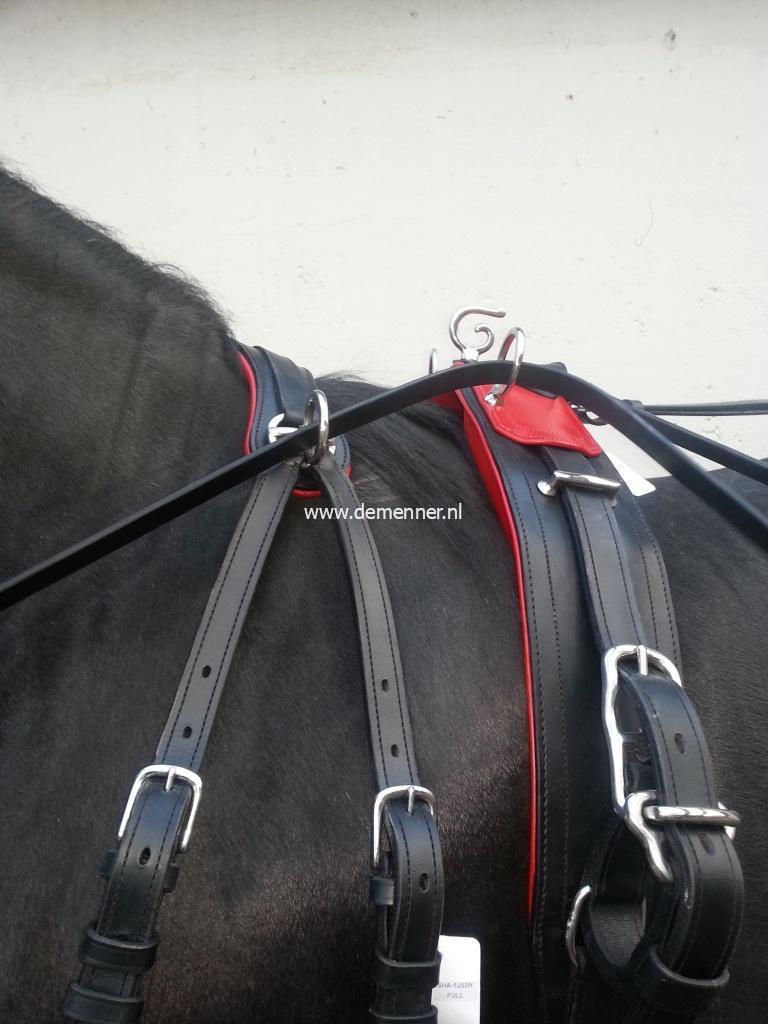 Bellengeschirr Schwarz/Rot – Bild 3