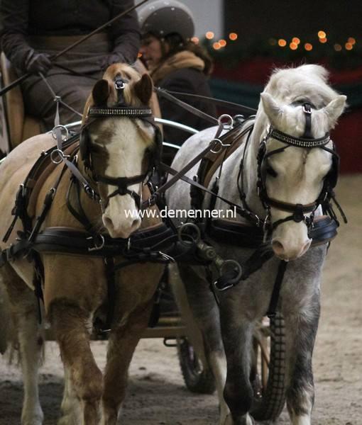 Zweispänner Brustgeschirr EUROTECH COMBI Ideal Equestrian – Bild 2