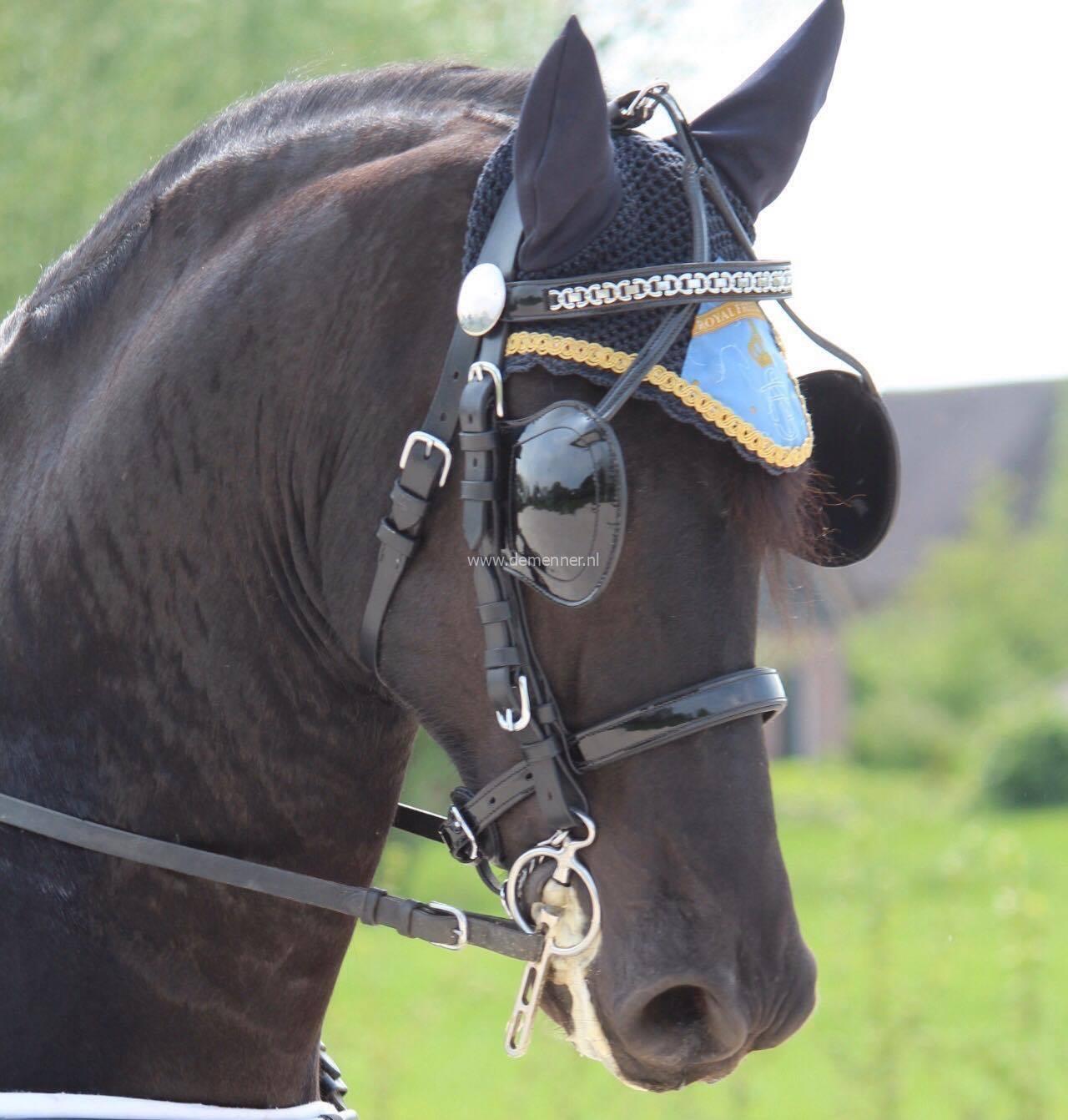 Einspänner Brustgeschirr LUXE LACKLEDER Ideal Equestrian – Bild 2