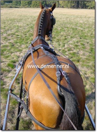Staartriem voor trekpaard – Bild 3