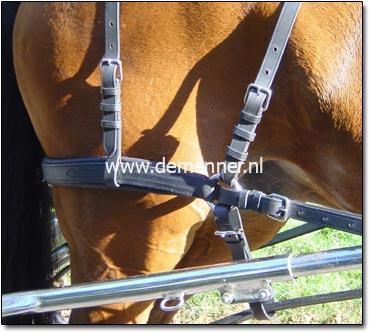 Broek enkelspan voor Leathertechtuig Ideal Equestrian – Bild 2