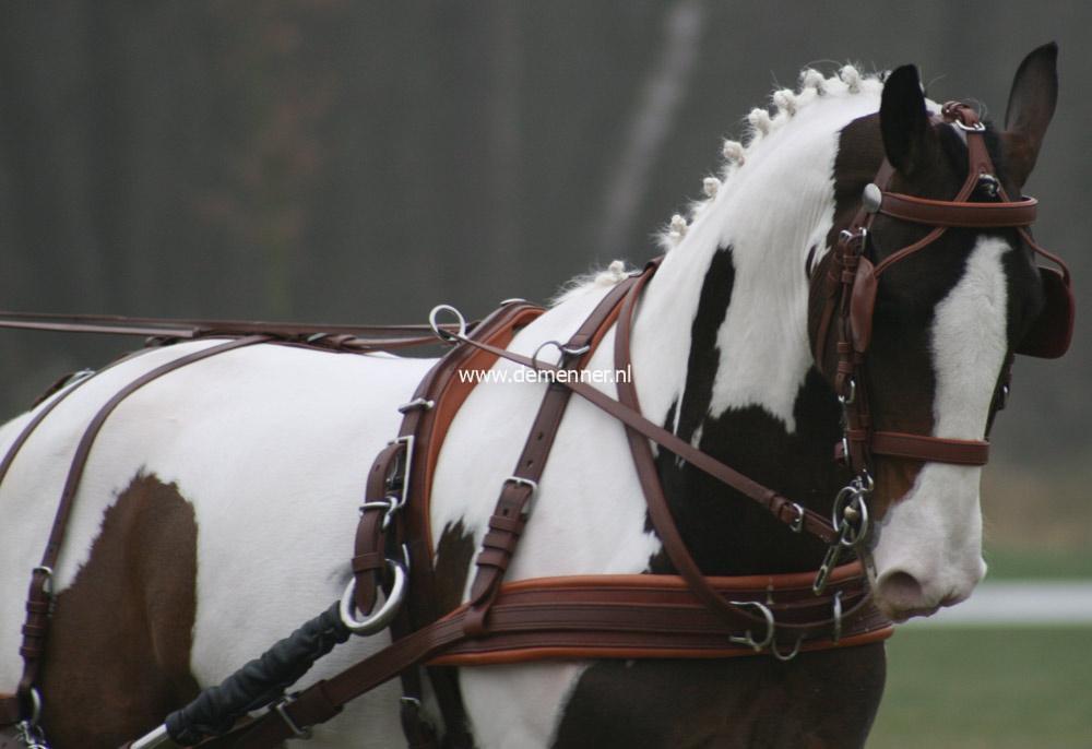 Einspänner Brustgeschirr LEATHERTECH COMBI Ideal Equestrian – Bild 5