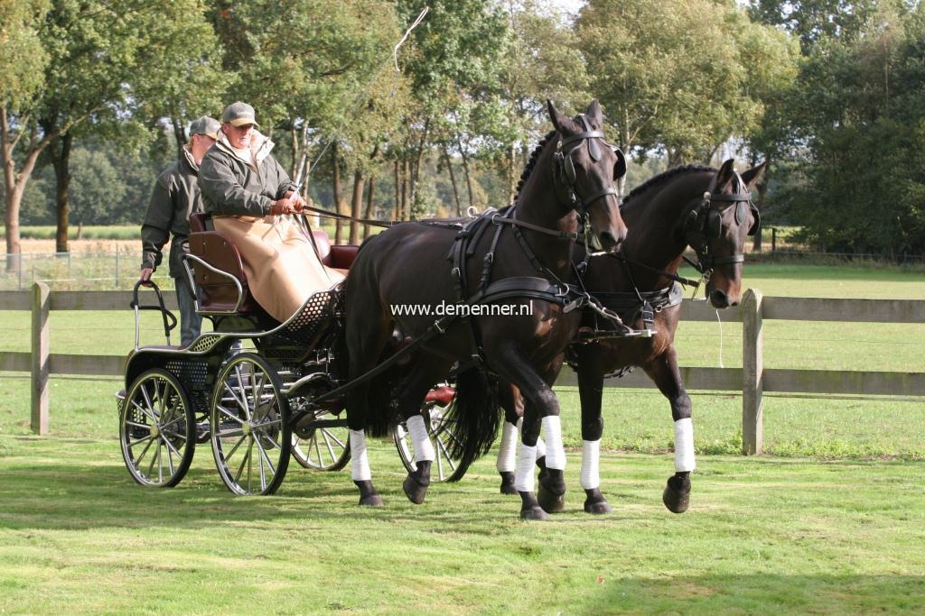 Zweispänner Brustgeschirr LEATHERTECH COMBI Ideal Equestrian – Bild 2