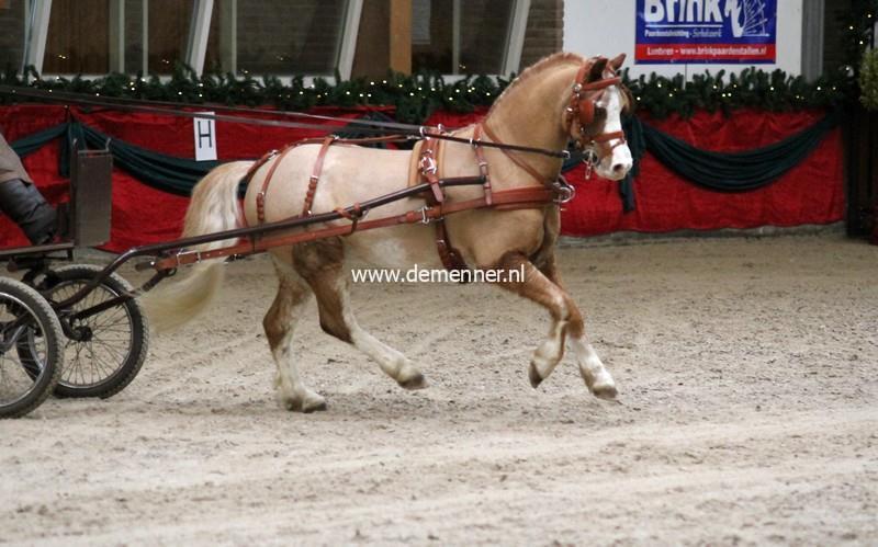 Einspänner Brustgeschirr LEATHERTECH COMBI Ideal Equestrian – Bild 2