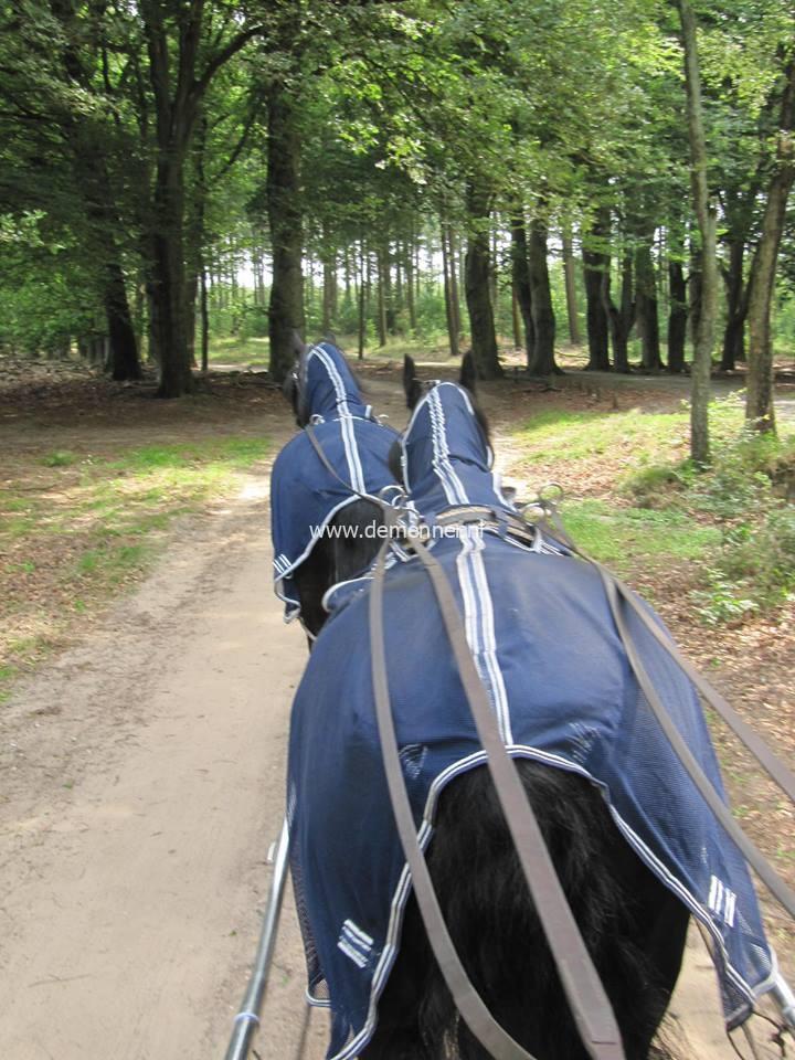 Menvliegendeken met hals – Bild 4