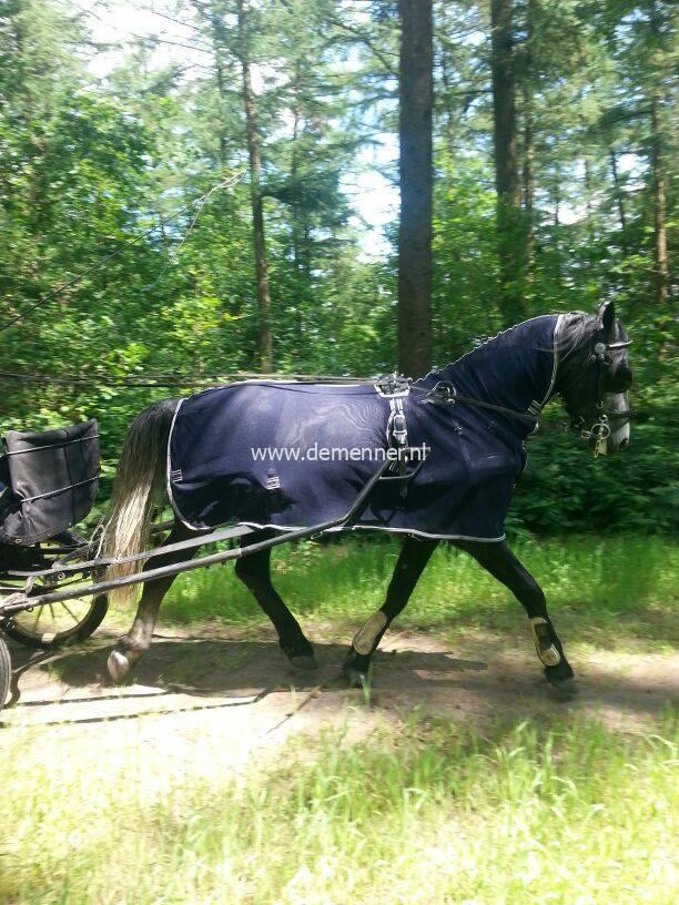 Menvliegendeken met hals – Bild 5