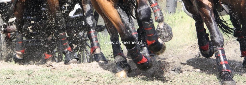 Mr Stockings peesbeschermers achterbeen – Bild 2