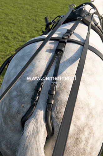 Staartriem met culeron, leer – Bild 3