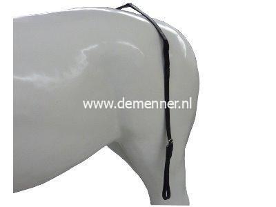 Strangträger halb Leder, halb Elastisch Ideal Equestrian – Bild 2