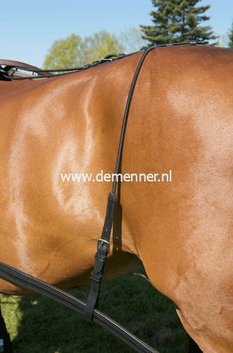 Strangträger halb Leder, halb Elastisch Ideal Equestrian – Bild 3