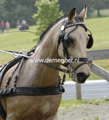 Einspänner Brustgeschirr LUXE Leder Ideal Equestrian – Bild 2