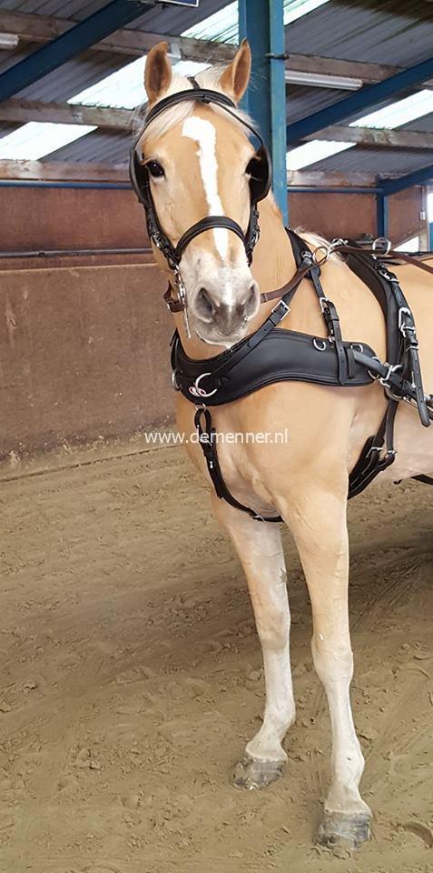 Empathy enkelspanborst voor Classictuig – Bild 2